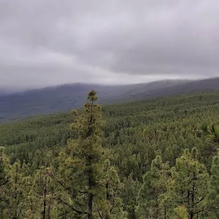 公寓 La Casita De La Pared 圣克鲁斯-德特内里费