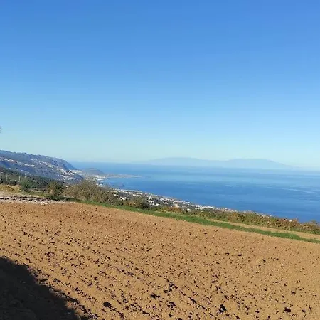 公寓 La Casita De La Pared 圣克鲁斯-德特内里费